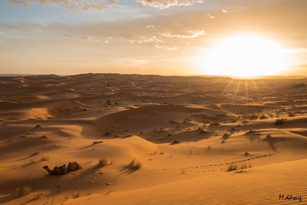 Desert Luxury Camp Morocco Merzouga Bagian luar foto